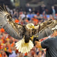 Duane Keener (@patdeleon69) 's Twitter Profile