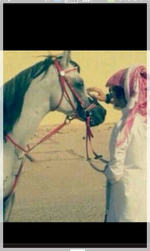 ♥ وآمٱنّ ٱلله علُـئِ عيّّْن ـ م ٱبِيهّـا تضّٱيق