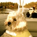 Dan Pearson - @dpsp - Twitter