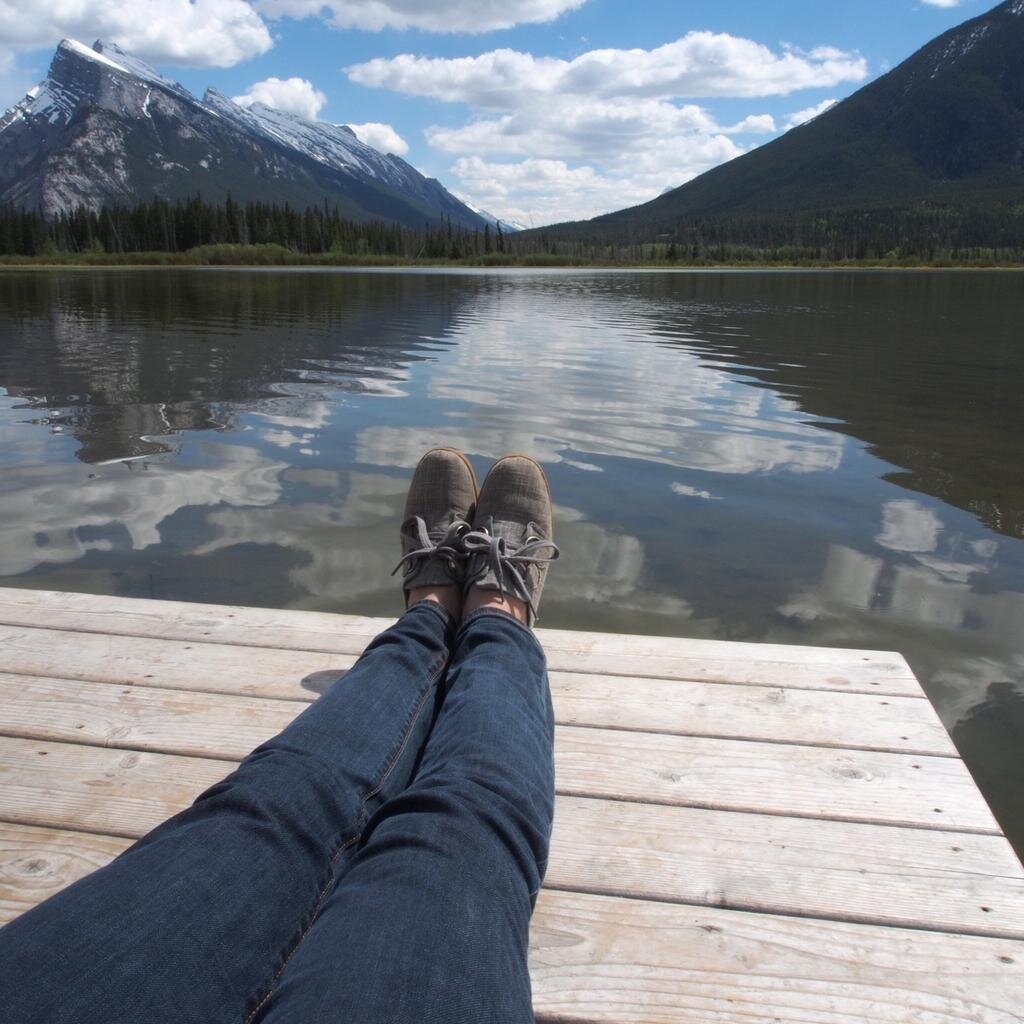 dcodding's profile picture. storyteller. equestrian. corporate strategist.