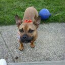 brenda burden - @sugarglider85 - Twitter