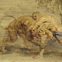 hibearnating (@hibearnating) 's Twitter Profile Photo hibearnating (@hibearnating) 's Twitter Profile Photo