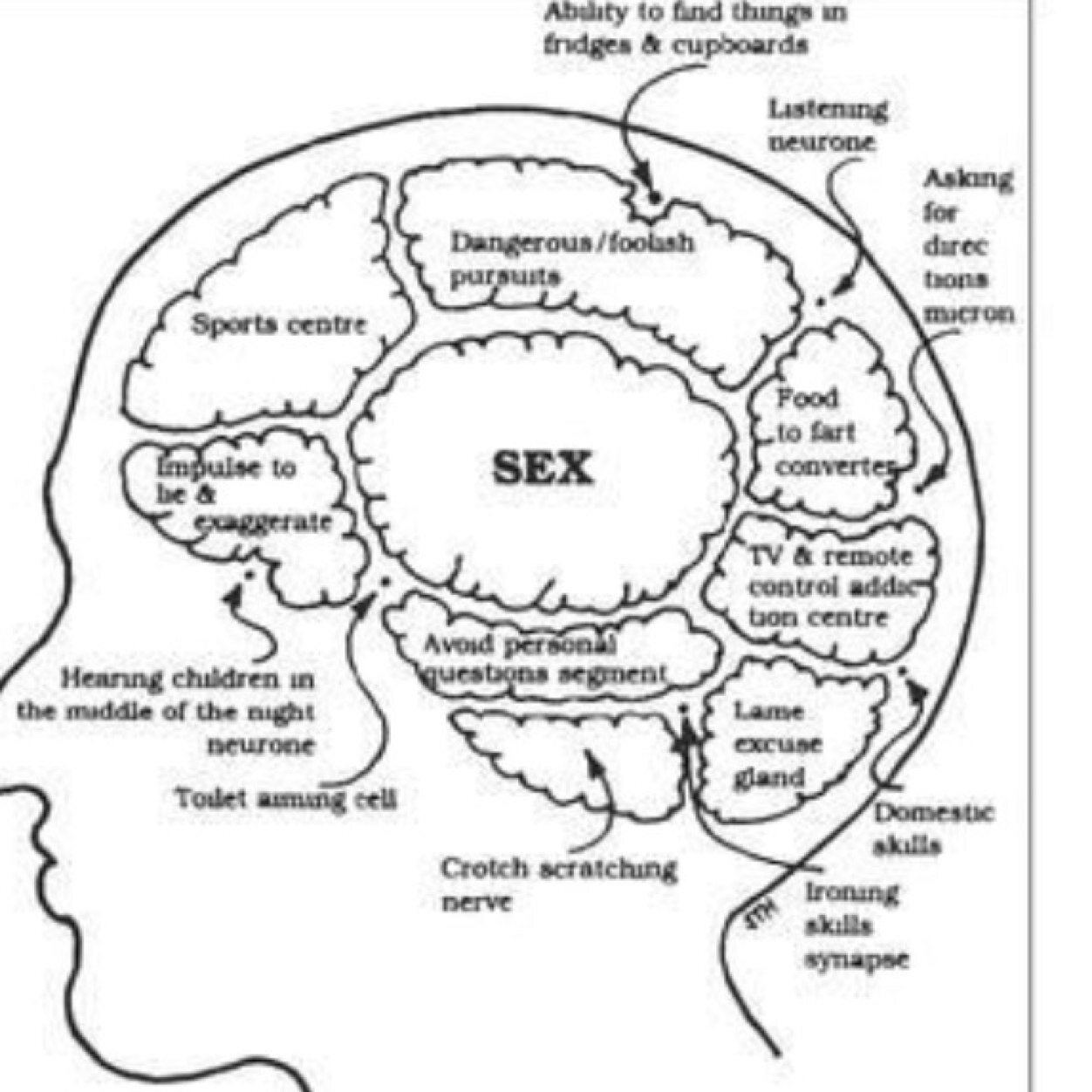 MindsGuys's profile picture. The thoughts of the average bro