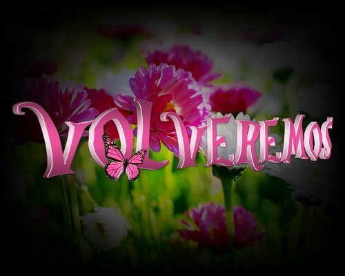 Volveremos