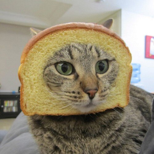 pac_victor's profile picture. 