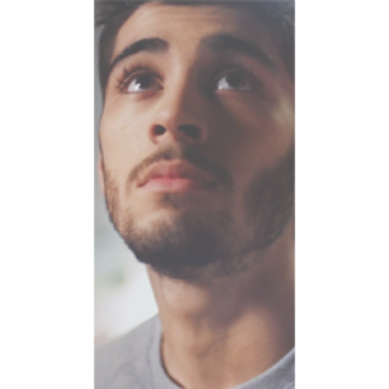 shitzaynx's profile picture. pasta and bands