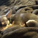 Beth Stinson - @beth_emd734 - Twitter