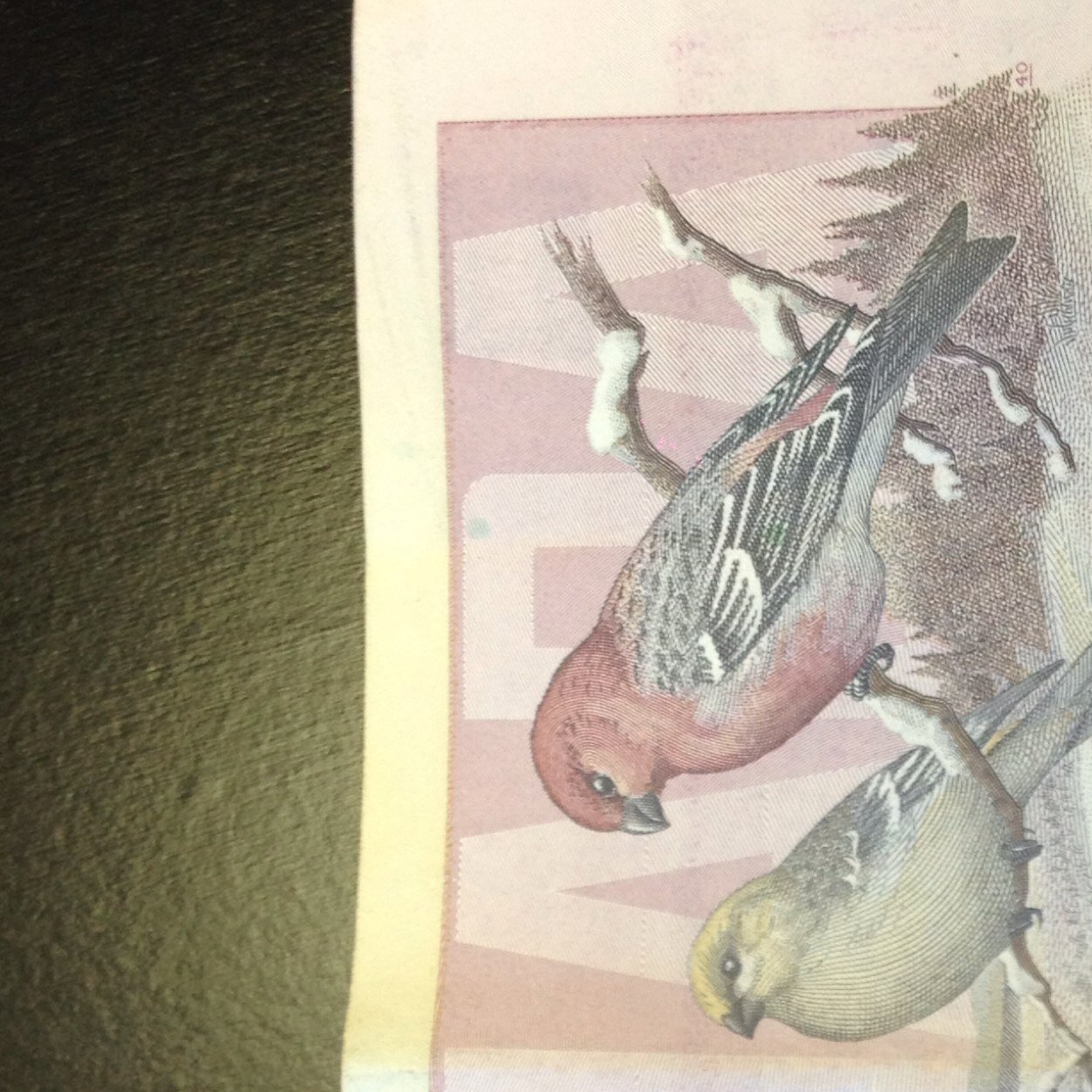 LifeMalpractice's profile picture. 