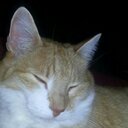 Tracy Belanger - @belanger_tracy - Twitter