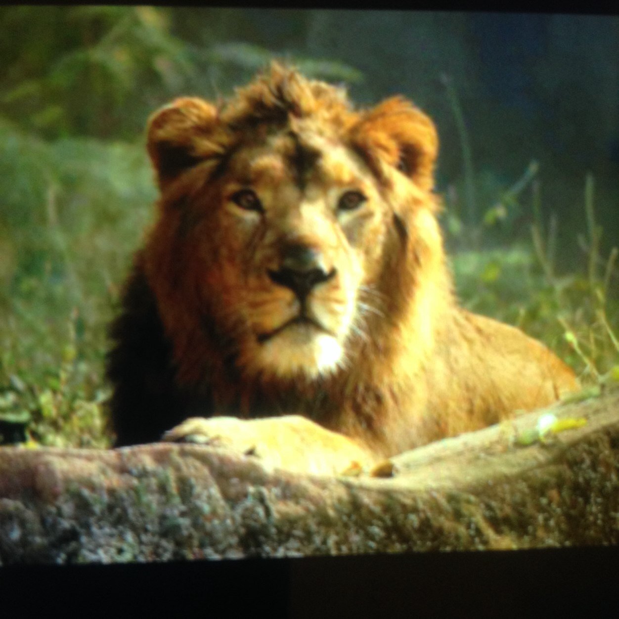 f_mintz's profile picture. 