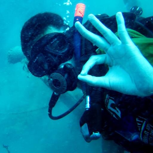 Divers. Capoeirista. Street dancer. Marine science and technology IPB,