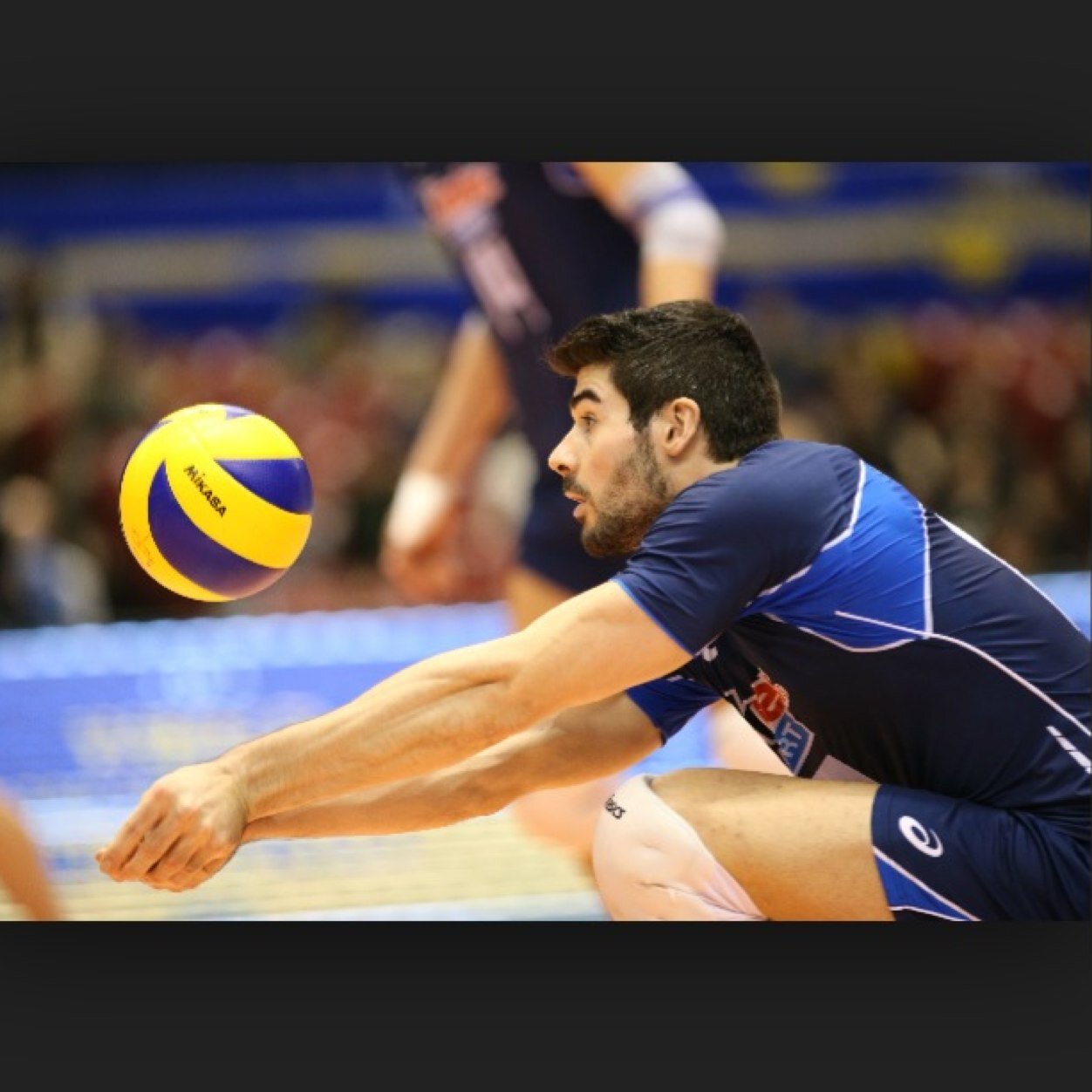 mensvolleybal's profile picture. Volleyball is Life