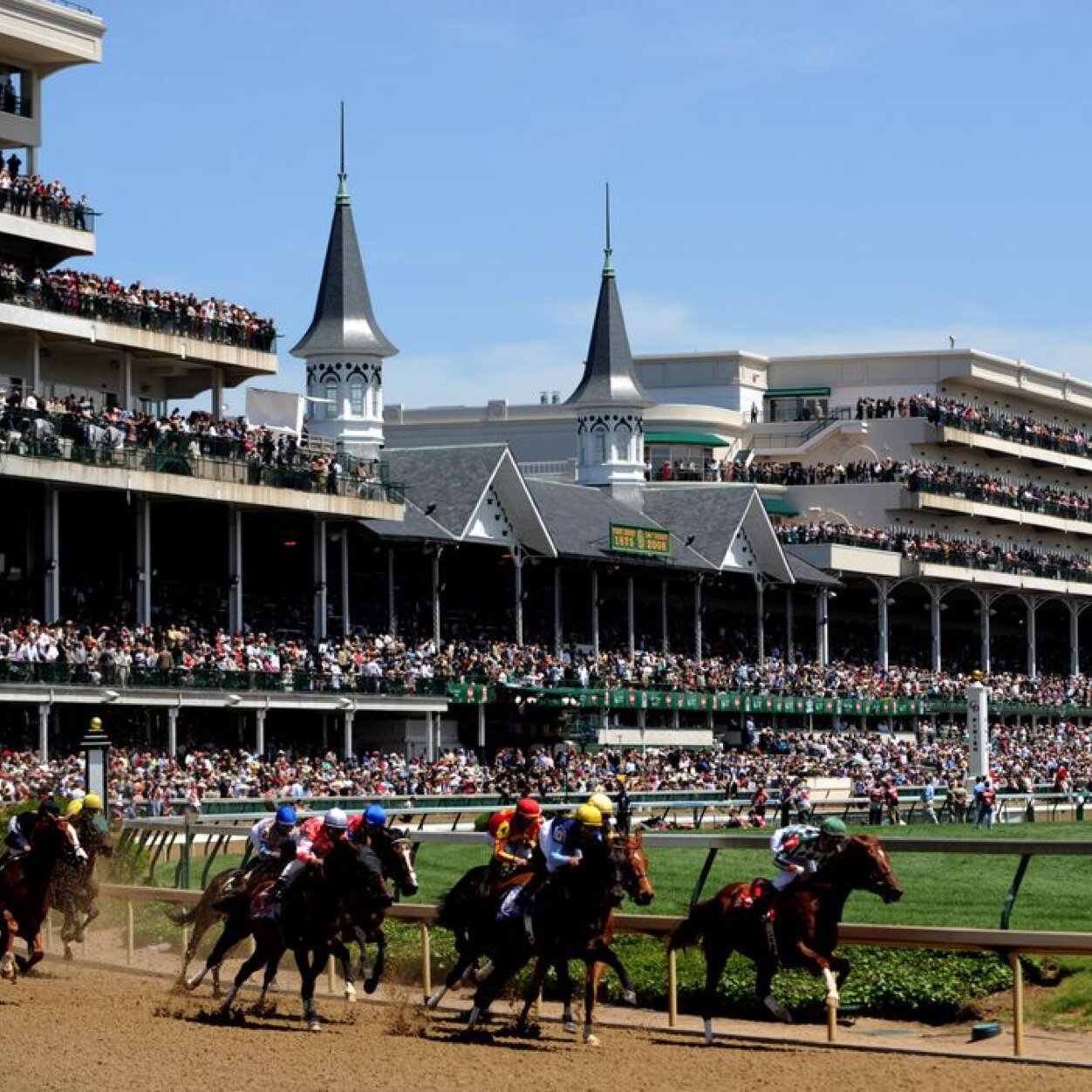 Bluegrass Thoroughbreds