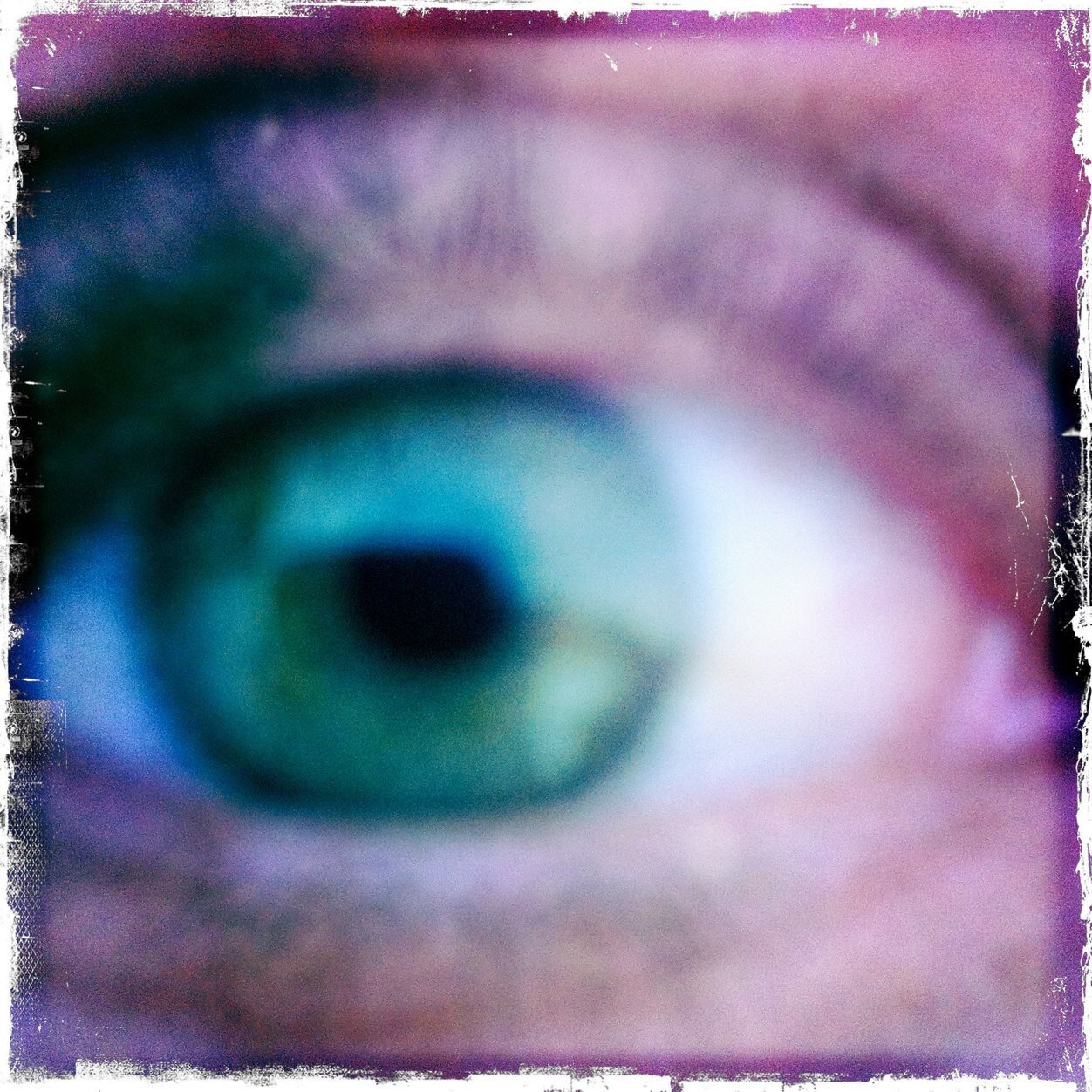 SophieChavannes's profile picture. 