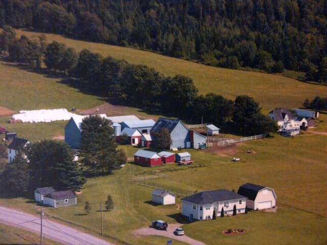 Breeders and producers of quality Angus cattle, purebred seedstock and direct market beef sales. Canadian Angus assoc past-president.