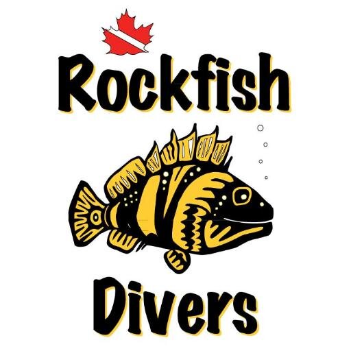 We are a 5 Star IDC PADI Resort that offers dive courses (beginner to instructor), charters, travel and equipment services for divers from all over the world.