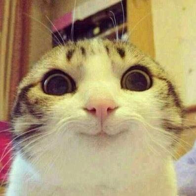 Readingpeoples's profile picture. 