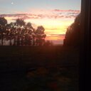 Maria Dickie - @maria_dickie - Twitter