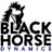 BlkHrseDynamics's profile image