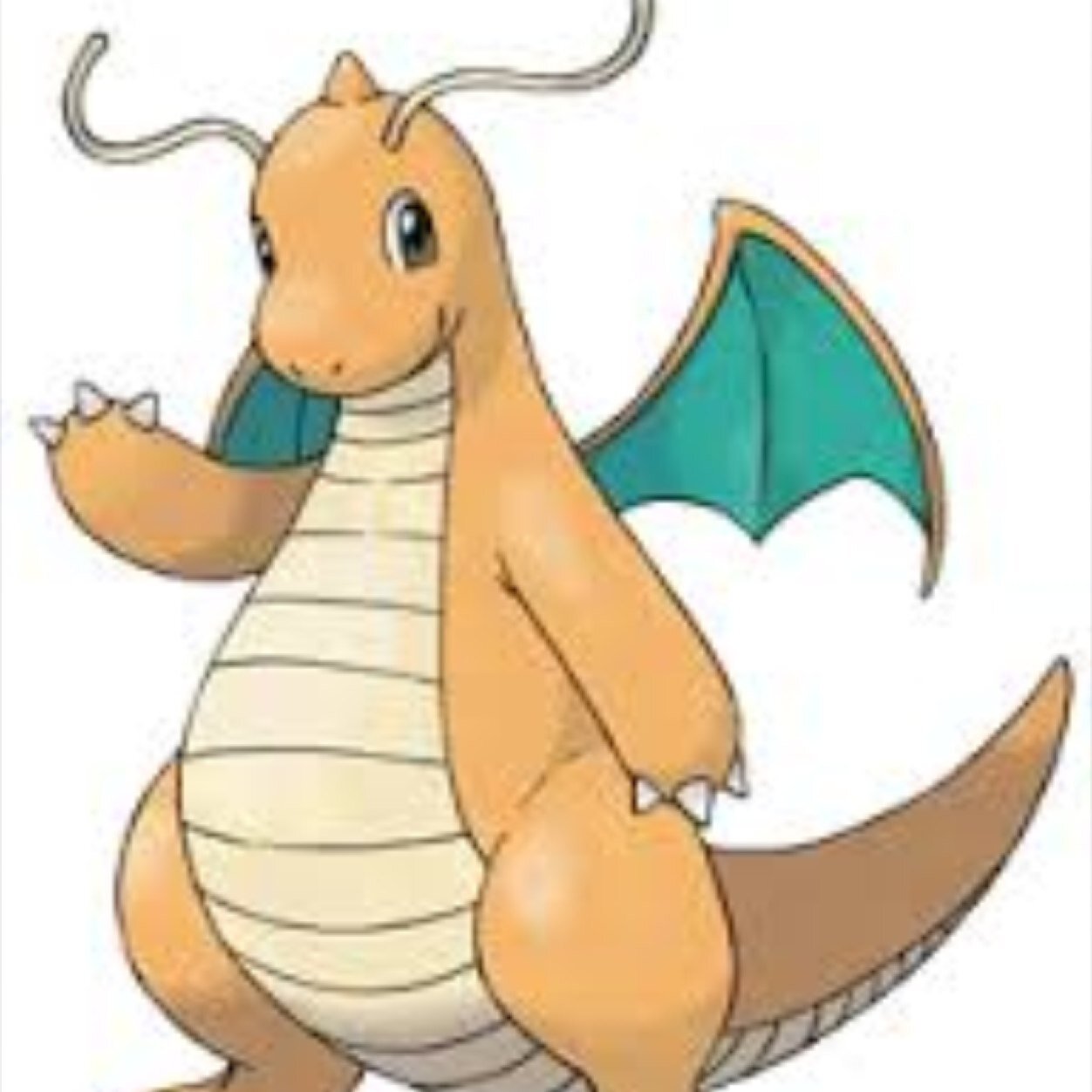 dragonite51's profile picture. #149