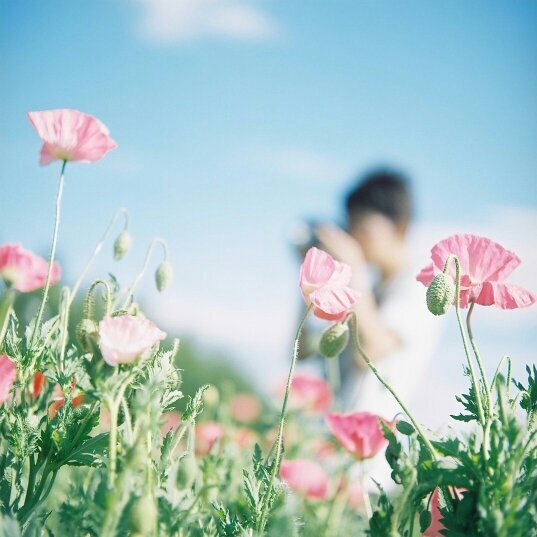 Toru_wagnus's profile picture. WAGNUS./ Audio Cable/noble audio /CIEM/recable/