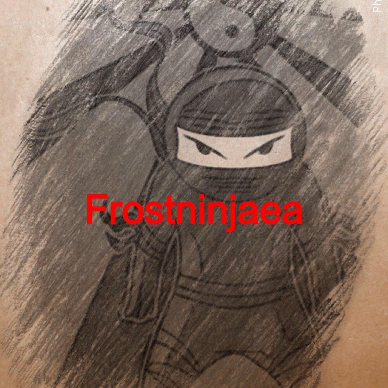 adkinsfam4's profile picture. The official twitter of frostninjaea. I do minecraft videos so please check them out just type frostninjaea at the search bar and im the person named ethan A.