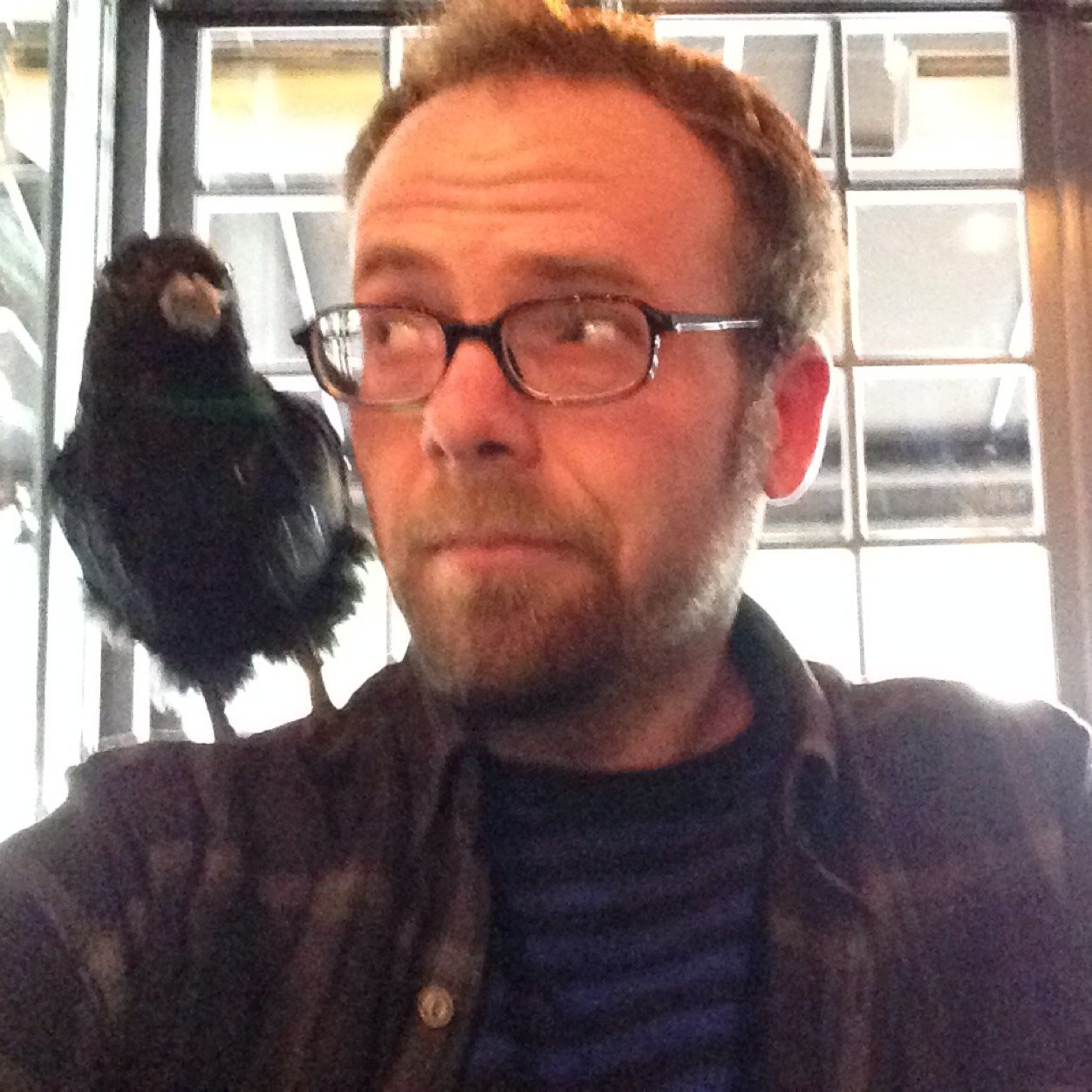 Writer, Director, 9th level DM