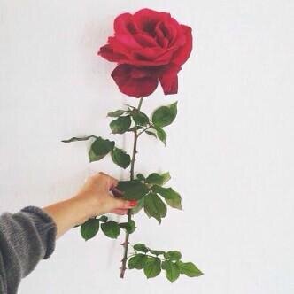 `| يارب رضاك والجنه ♥. .