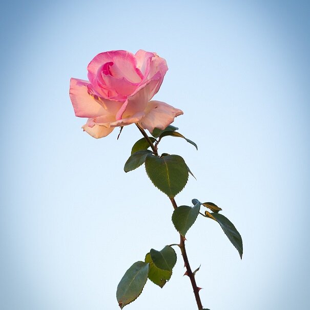 About love, or lack thereof. http://t.co/Dgs59SxsCB https://t.co/xatVCSxSzs