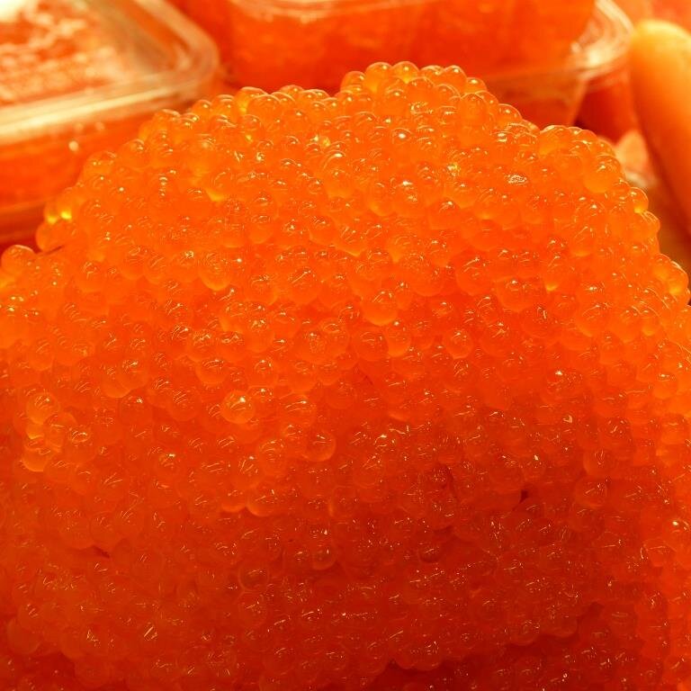 SakiSawa80's profile picture. 写真を見るのが好き。　　　　　　　　　写真家の作品とその人となりに興味あり。