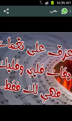 farasha560793's profile picture. 