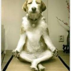 笑っちゃイヤョ？おもしろ画像botです。
それでもオモシロかったらリツィートね！