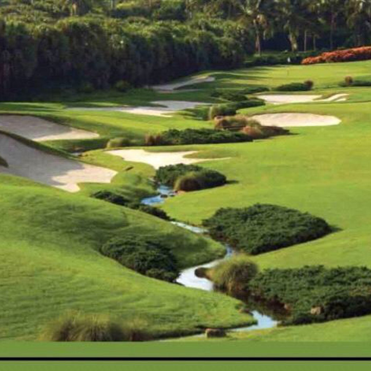 AlawdanEngy's profile picture. Fasten your seat belt....follow me now ;)