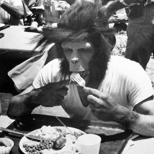 In the time of monkeys I was a chimpanzee