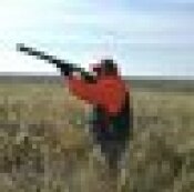 hunting, gaming, fox, with hounds, with horse, with dog,guns