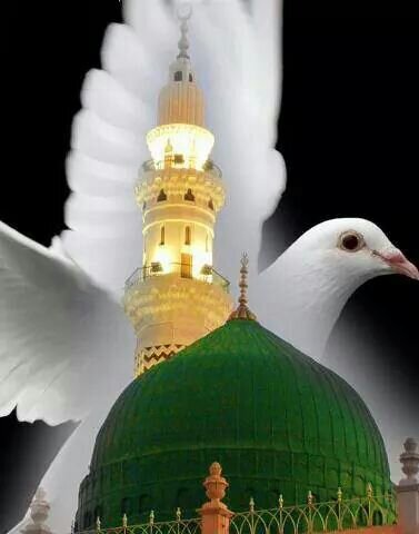 maisaja93's profile picture. cntai aq krn Allah