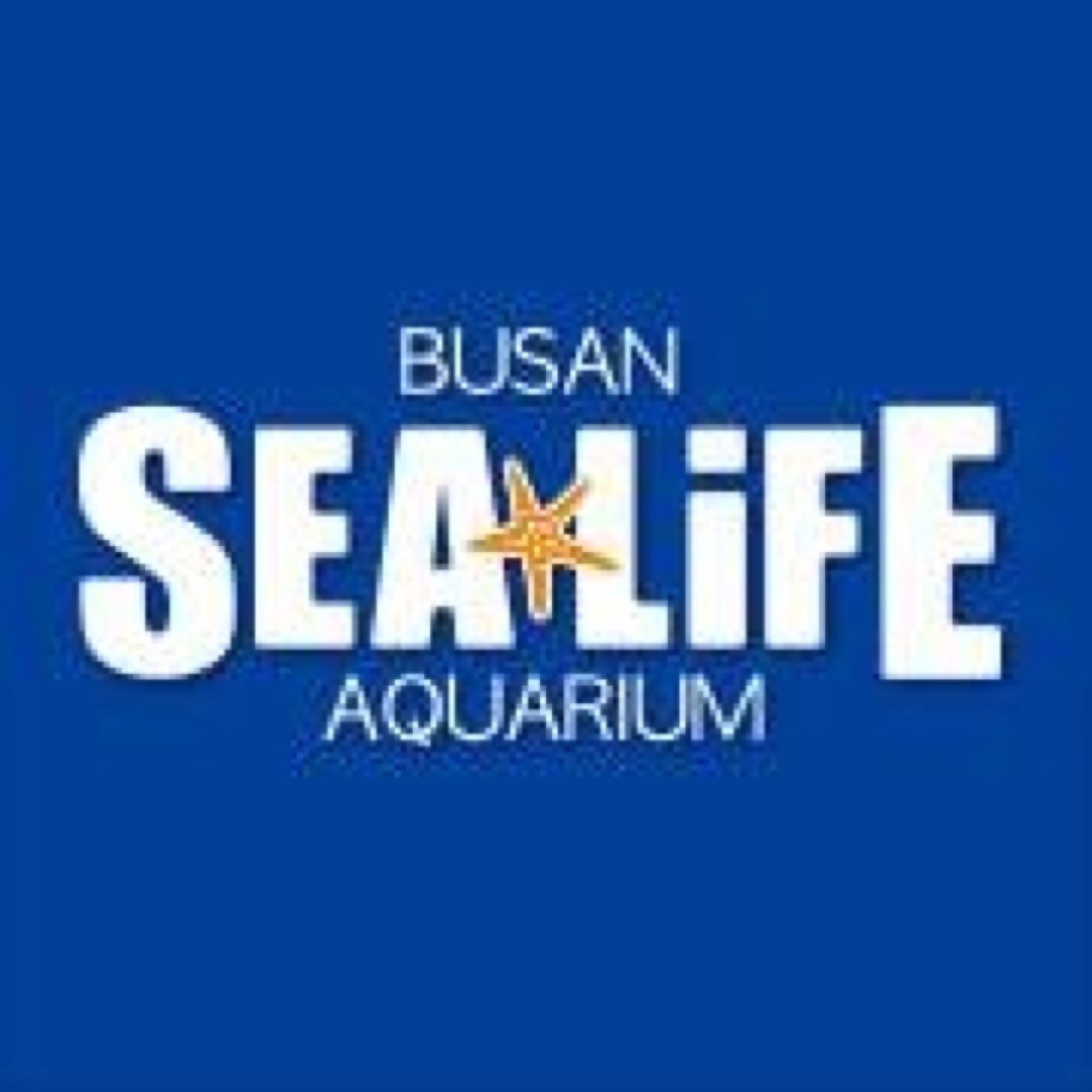 SEA LIFE 부산아쿠아리움이다리움~
리움~ 쿠아~ 수달~ 샼~ 귄~ 등 이상한 말을 자꾸쓰니 오글거려도 참아달라쿠아~!!