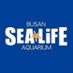 SEA LIFE Busan (@sealifebusan) Twitter profile photo SEA LIFE Busan (@sealifebusan) Twitter profile photo
