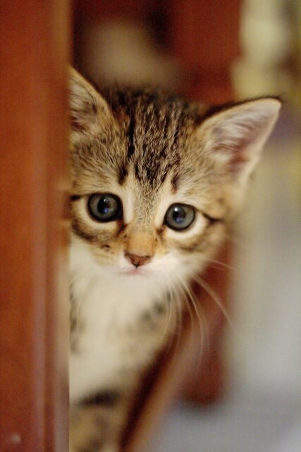 qdhhgvhhb's profile picture. Добрая ')........наверно :D