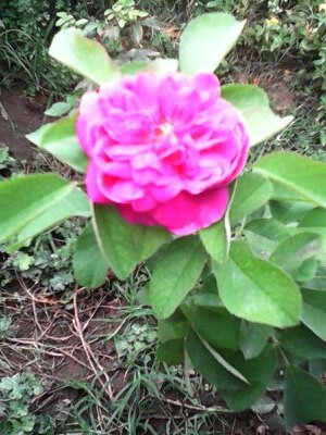 psthiyagu1973's profile picture. 