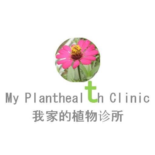 Plant health Professional & Consultant - 53259941A
Plant & Tree Care (Landscape, Gardening, Agriculture & Arboriculture) Services
植物及树木护理（园艺, 农业和林业发展）服务.