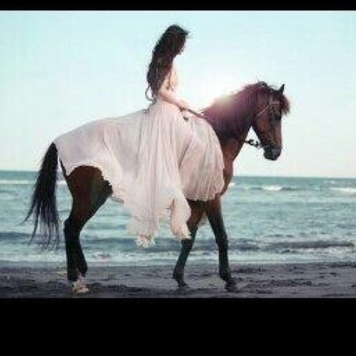 ∞ inspired by Eva Roemaat, Jesse Drent, Lisa Ackermans, Megan Bakker ∞ love for my followers ∞ follow back