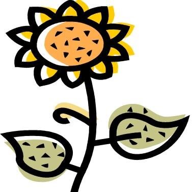LSunflowersK Profile Picture