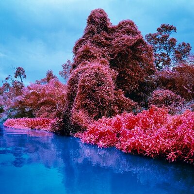 Richard Mosse (@richard_mosse) / X