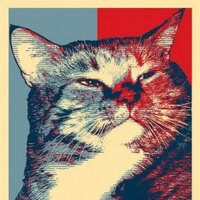 Semiha M.Kabakçı (@mummysm) 's Twitter Profile