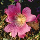 Farid_farid Mh - @farid_mh59 - Twitter