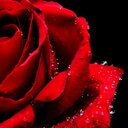 Cassandra Noël - @noel_cassienoel - Twitter