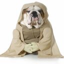 Dave Grady - @grady881 - Twitter