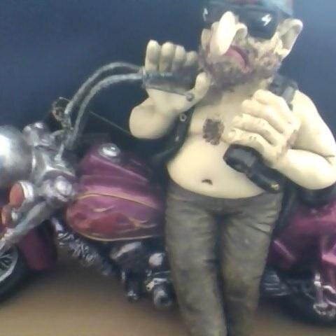 muxam11's profile picture. 