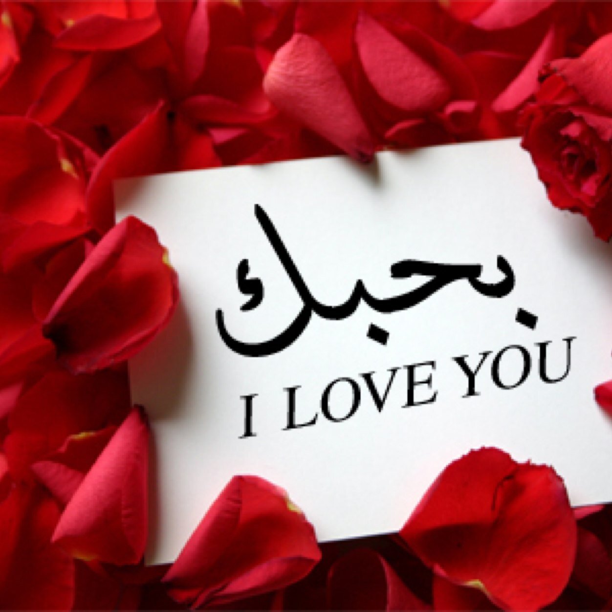 عاااااشقه شعيفان